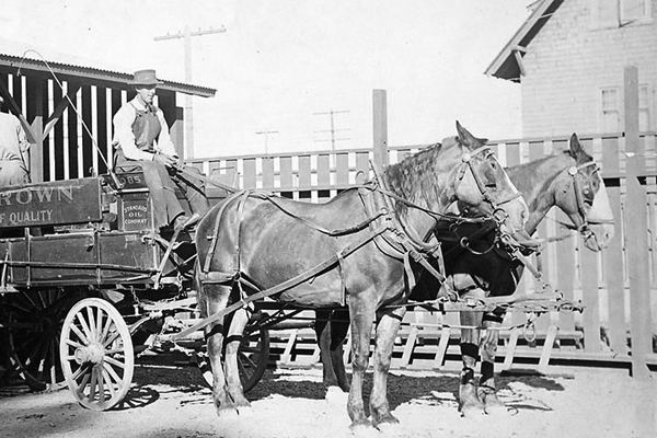 在1915年的照片中,一辆在标准石油公司加载的马车马车
