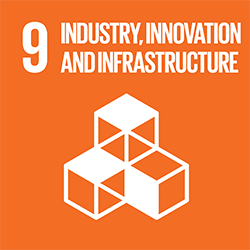 Goal 9: industry, innovation and infrastructure
