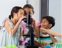 Advancing STEM education