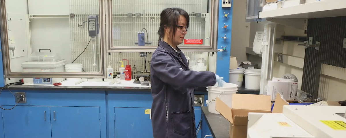 我是个化学家