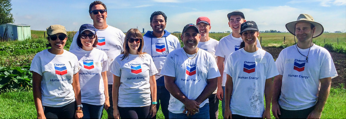 Chevron employees volunteering at the Calgary Food Bank Garden of Eat'n