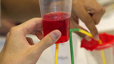 西澳大利亚州地球科学（ESWA）