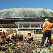 雪佛龙公园，在新的珀斯体育场设有2.6公顷的康复公园，自然游乐场，烧烤和野餐区。
