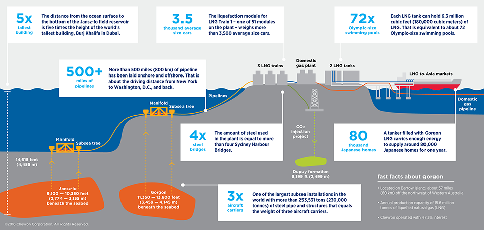 是什么构成了兆项目。