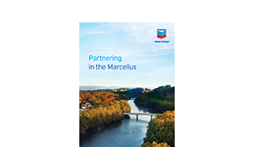 在马塞勒斯合作