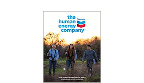 企业博客可持续发展报告2019图标