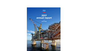 2017年年度报告
